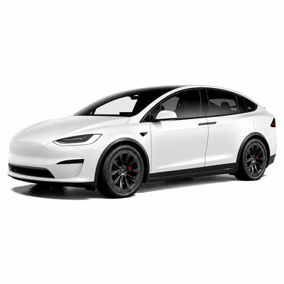 MODEL X ACCESSORIES WIGOO